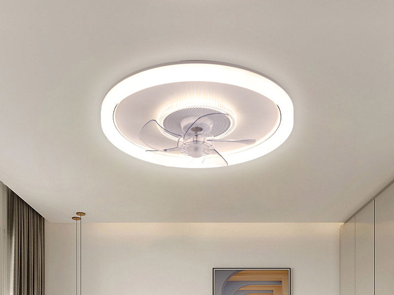 Ceiling fan lights