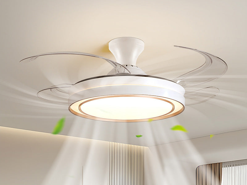 Arden & Beam lighting - product view 1