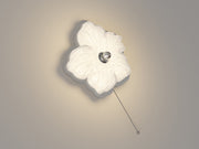 Arden & Beam lighting gallery