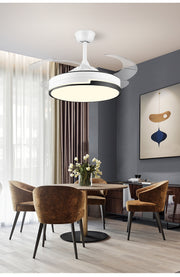Arden & Beam lighting — product view 2