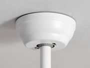 Arden & Beam lighting — product view 4