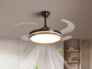 Arden & Beam lighting — product view 2