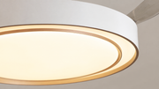 Arden & Beam lighting - product view 5