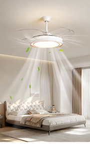 Arden & Beam lighting - product view 8