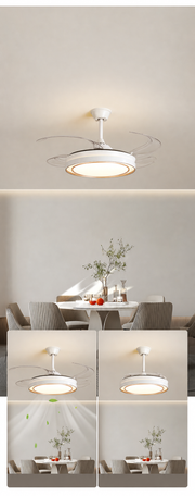 Arden & Beam lighting - product view 3