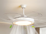 Arden & Beam lighting - product view 13