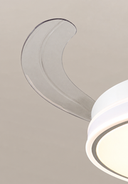 Arden & Beam lighting - product view 6