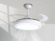 Arden & Beam lighting - product view 3