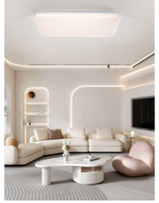 Arden & Beam lighting - product view 6