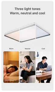 Arden & Beam lighting - product view 7