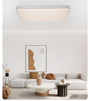 Arden & Beam lighting - product view 5