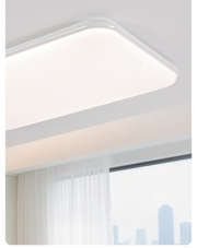 Arden & Beam lighting - product view 5