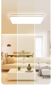 Arden & Beam lighting - product view 7
