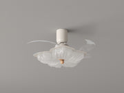 Arden & Beam lighting - product view 3